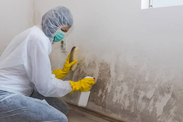 Best Water Damage Restoration  in Cherryville, PA
